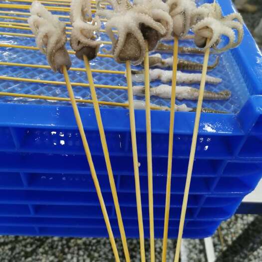 珲春市章鱼宝宝串