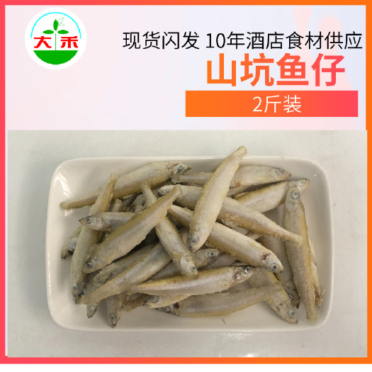 江门 山坑鱼仔（小）每包1kg