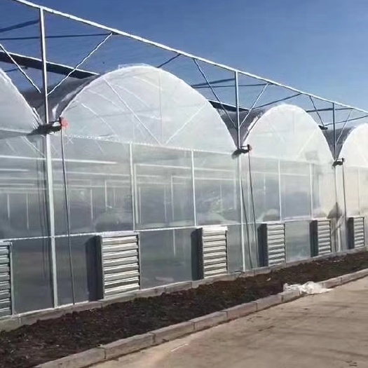 青州市塑料薄膜温室大棚建设，温室大棚造价，大棚厂家直销
