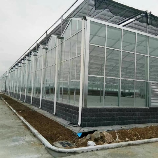 青州市温室大棚 薄膜温室大棚 玻璃温室大棚 育苗温室 蔬菜温室