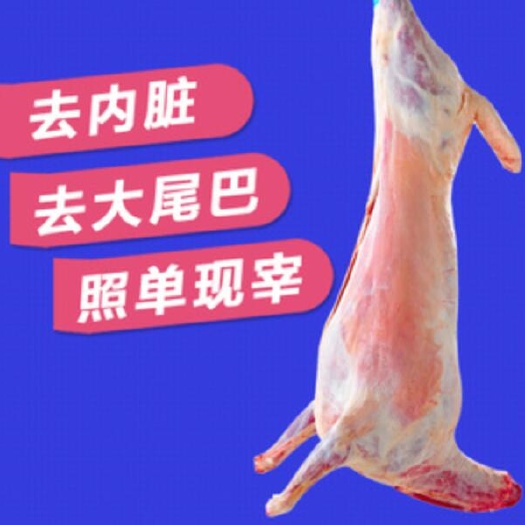 昭苏县 羔羊肉30-50斤绵羊肉整羊现杀包邮散养