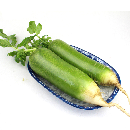 天津 天津水果萝卜 5斤装