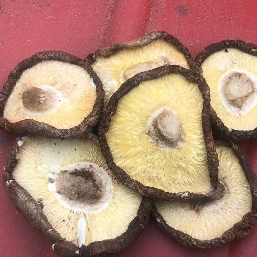 杭州原木干香菇  香菇庆元香菇产地直供