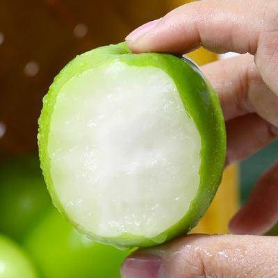 平邑县大青枣苗 牛奶大青枣。当年结果苗，基地直供