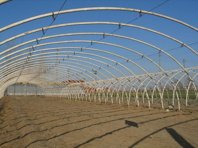 泊头市 厂家直供定制蔬菜温室种植 养殖大棚 镀锌钢管大棚骨架不易
