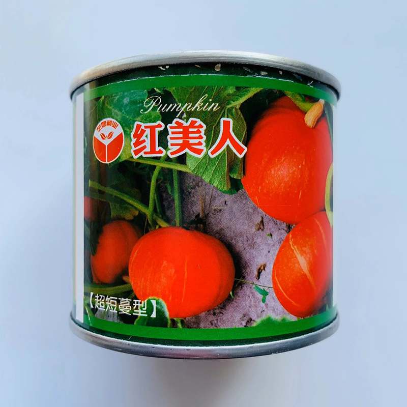 沭阳县红栗南瓜种子   南瓜种子红皮南瓜种子高产包邮短蔓型