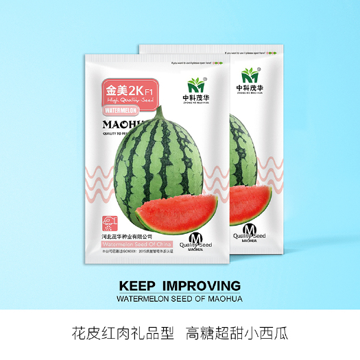 青县 中科茂华瓜果种子金美2K西瓜种子花皮红肉甜脆多汁耐储运易做果