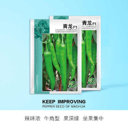 青县 中科茂华蔬菜种子青龙辣椒种子早熟杂交牛角椒辣味浓深绿色基地