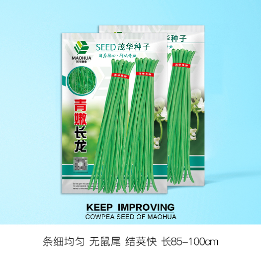 沧县 中科茂华蔬菜种子青嫩长龙绿如意豇豆种子长豆角种子翠绿长条