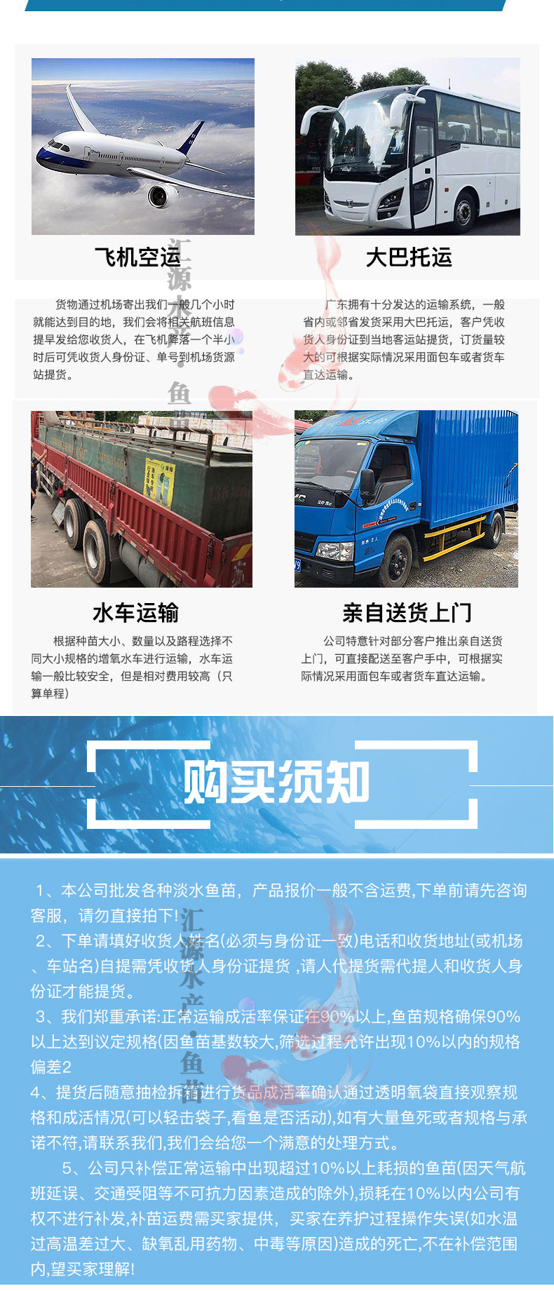 优质加州鲈鱼苗淡水养殖宝石鲈大口黑鲈鱼水花鲈鱼苗基地直销