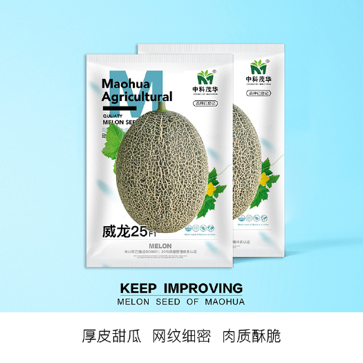 青县网纹瓜种子 中科茂华瓜果种子威龙25号厚皮甜瓜种子网纹细密果肉橘黄酥脆