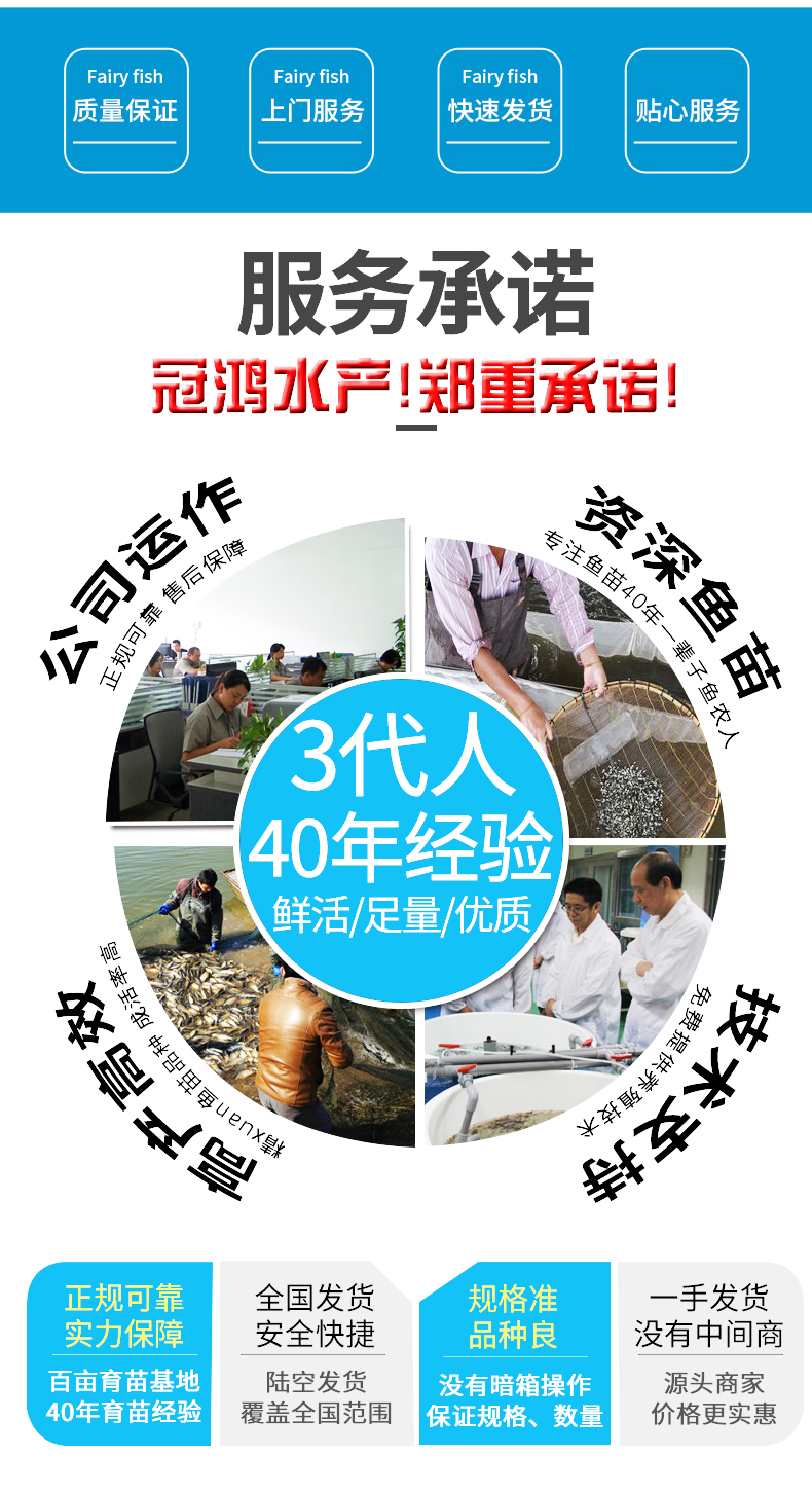 廣東漁場直銷優(yōu)鱸5號加州鱸魚苗淡水鱸魚工廠化養(yǎng)殖技術提供指導