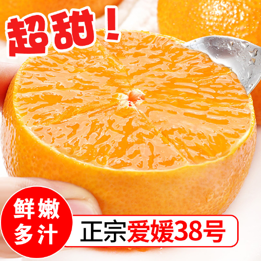 脐橙  【精选优品】爱媛橙38号精选果包邮新橙应季超甜果冻橙