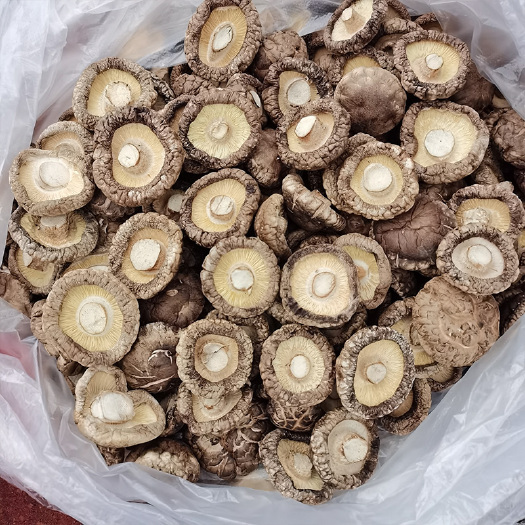 西峡县 西峡香菇干货金钱菇小香菇特产新货冬菇剪脚无根肉特级厚菇