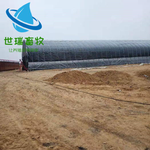 养殖大棚骨架 宁津县世瑞畜牧设备大棚厂 生产各种大棚