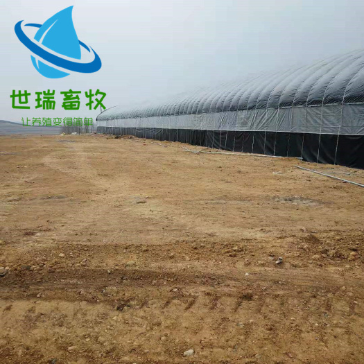 右玉县养殖大棚骨架 建大棚厂家 山东搭建大棚厂家