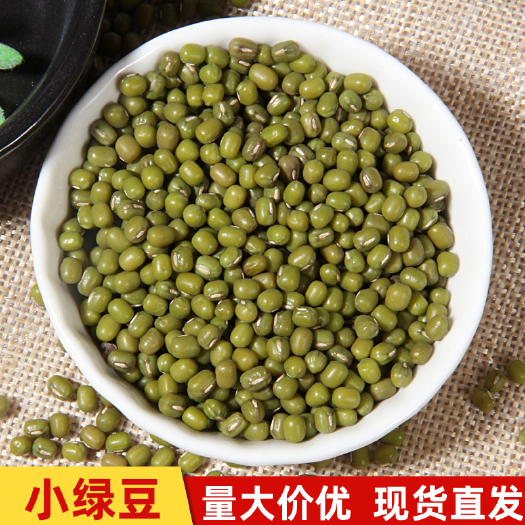 批发新小绿豆芽豆珍珠粒发豆芽用小明绿豆东北芽豆蔬菜芽苗菜种子