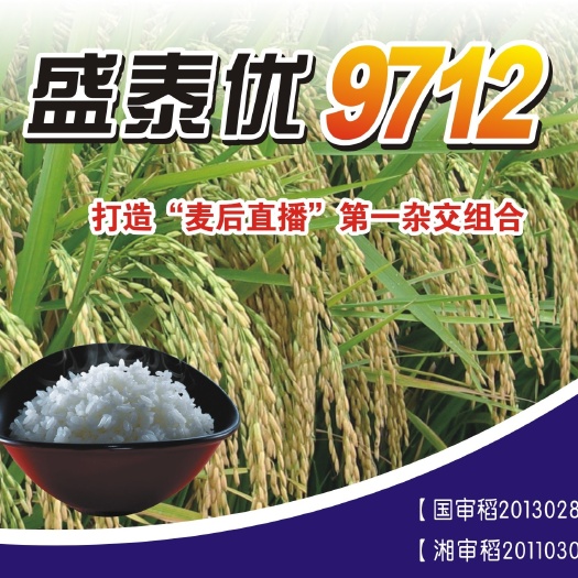 岳阳水稻种子 盛泰优9712丰产稳产性好，米质优，有利于促进水稻增产