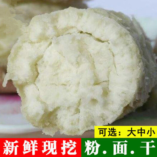 阳江白心红薯 新鲜农家自种沙地爆皮王番薯面包王白心地瓜番薯