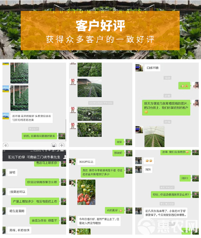  大棚补光灯植物补光灯生长灯葡萄补光灯大棚温室补光灯包邮