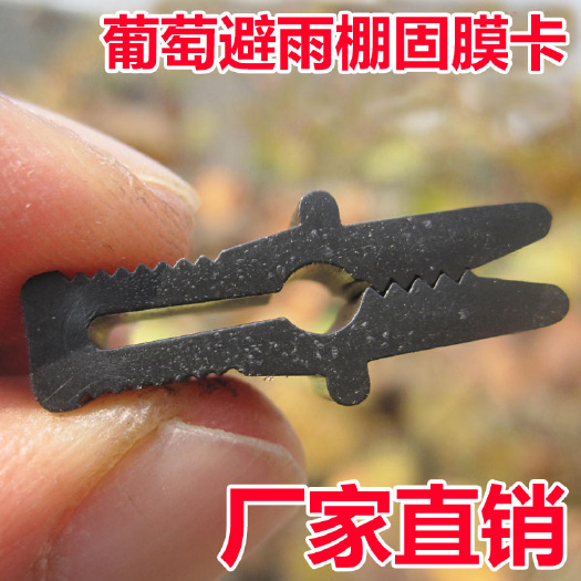 西安葡萄树避雨棚固膜卡竹夹子大棚配件压膜卡塑料夹膜卡二膜绑枝卡