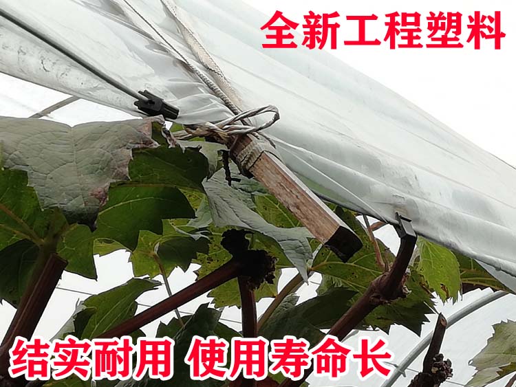 葡萄樹避雨棚固膜卡竹夾子大棚配件壓膜卡塑料夾膜卡二膜綁枝卡