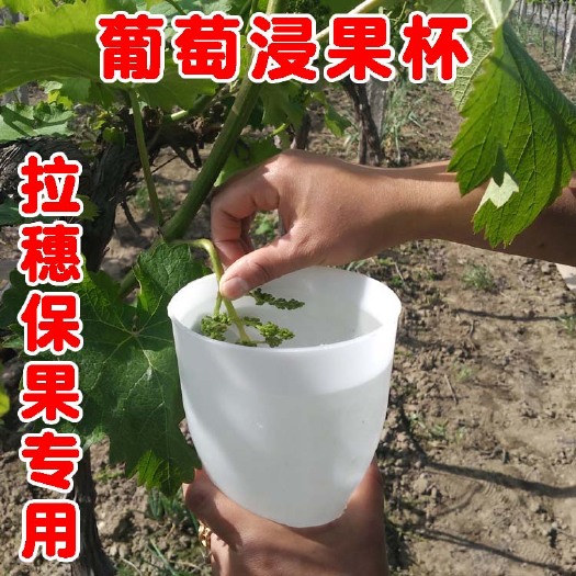 西安套袋器  葡萄浸果杯拉穗器蘸药杯膨果器