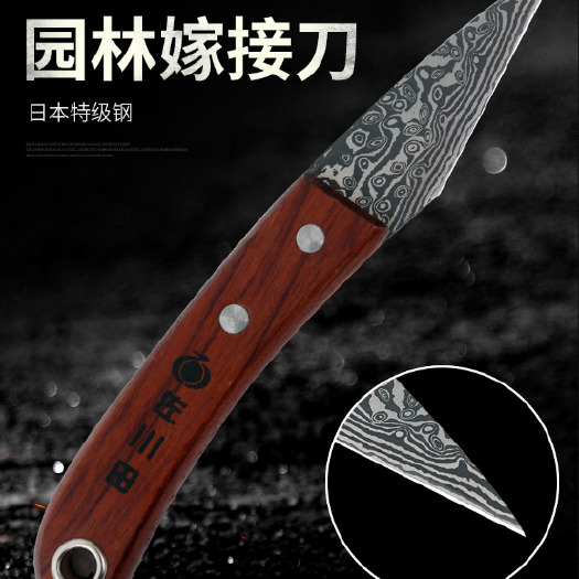 临沂嫁接剪/刀 原装 1091 直刀 大马士革纹 嫁接刀 果树嫁接工具