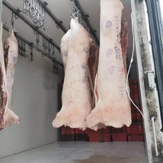 南京整头猪  双汇带皮白条猪白条冻猪鲜猪