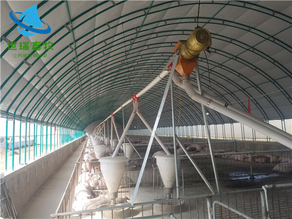 宁津县钢管大棚 养牛棚建设成本猪棚搭建厂家