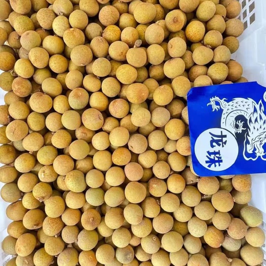 勐腊县 优惠泰国鲜龙眼（包运输）