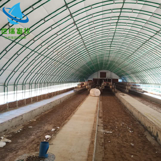 宁津县养殖大棚 养羊棚搭建羊舍建设