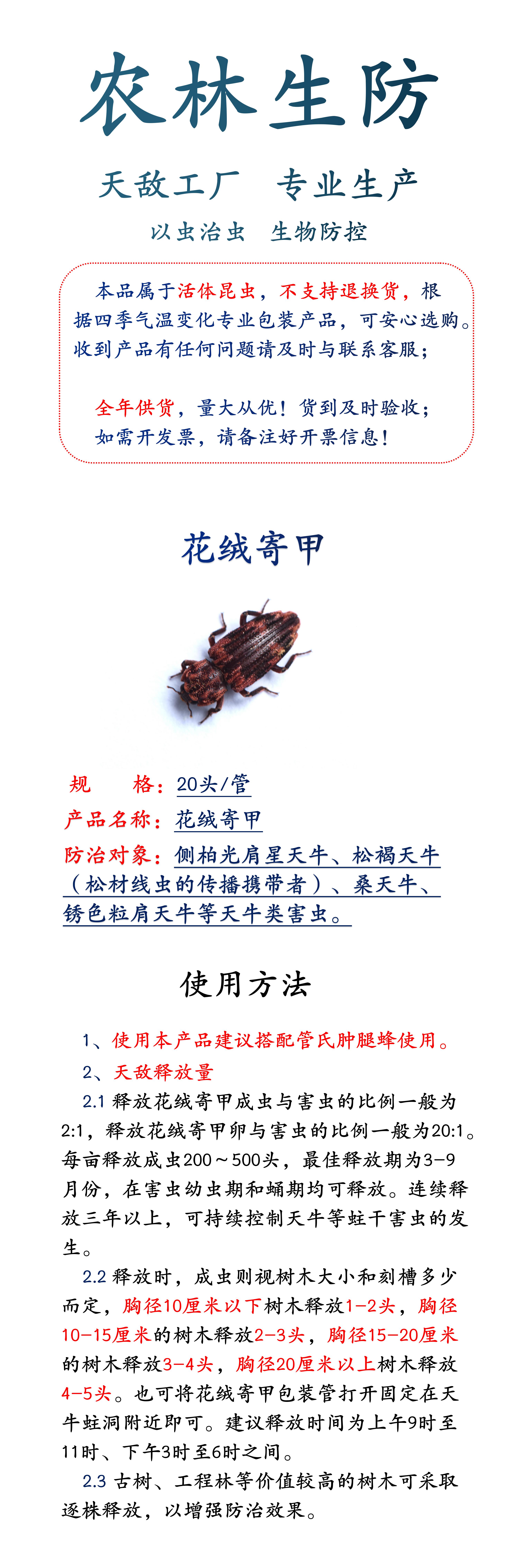 生物防治虫 花绒寄甲管氏肿腿防控各类天牛等蛀杆害虫20头/管