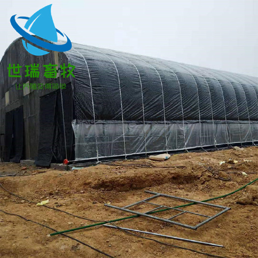 宁津县养殖大棚 养猪棚养牛棚施工搭建厂家