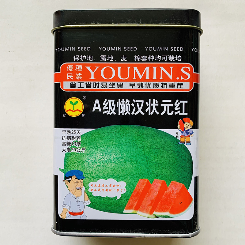 沭阳县懒汉西瓜种子优质高产甜度高杂交种大田专用包邮