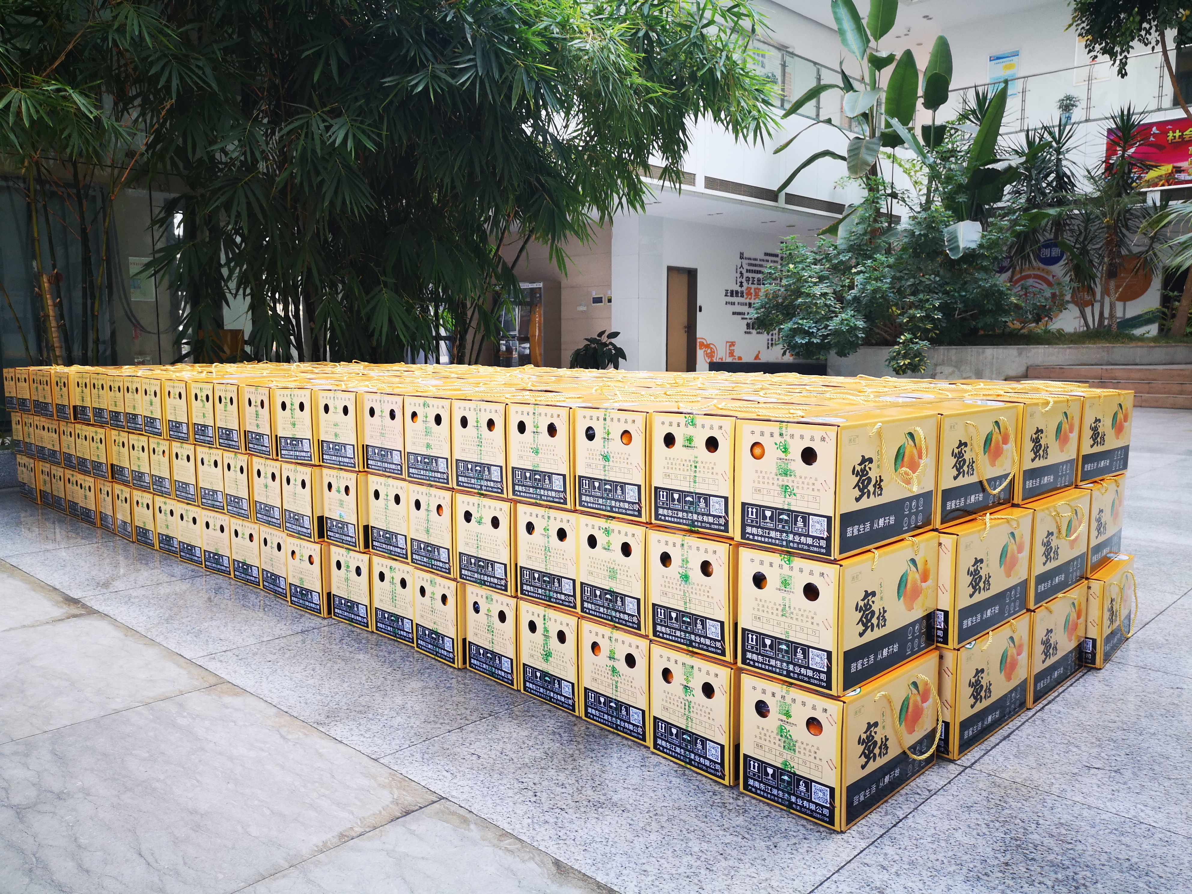 东江湖蜜橘  东江湖蜜桔