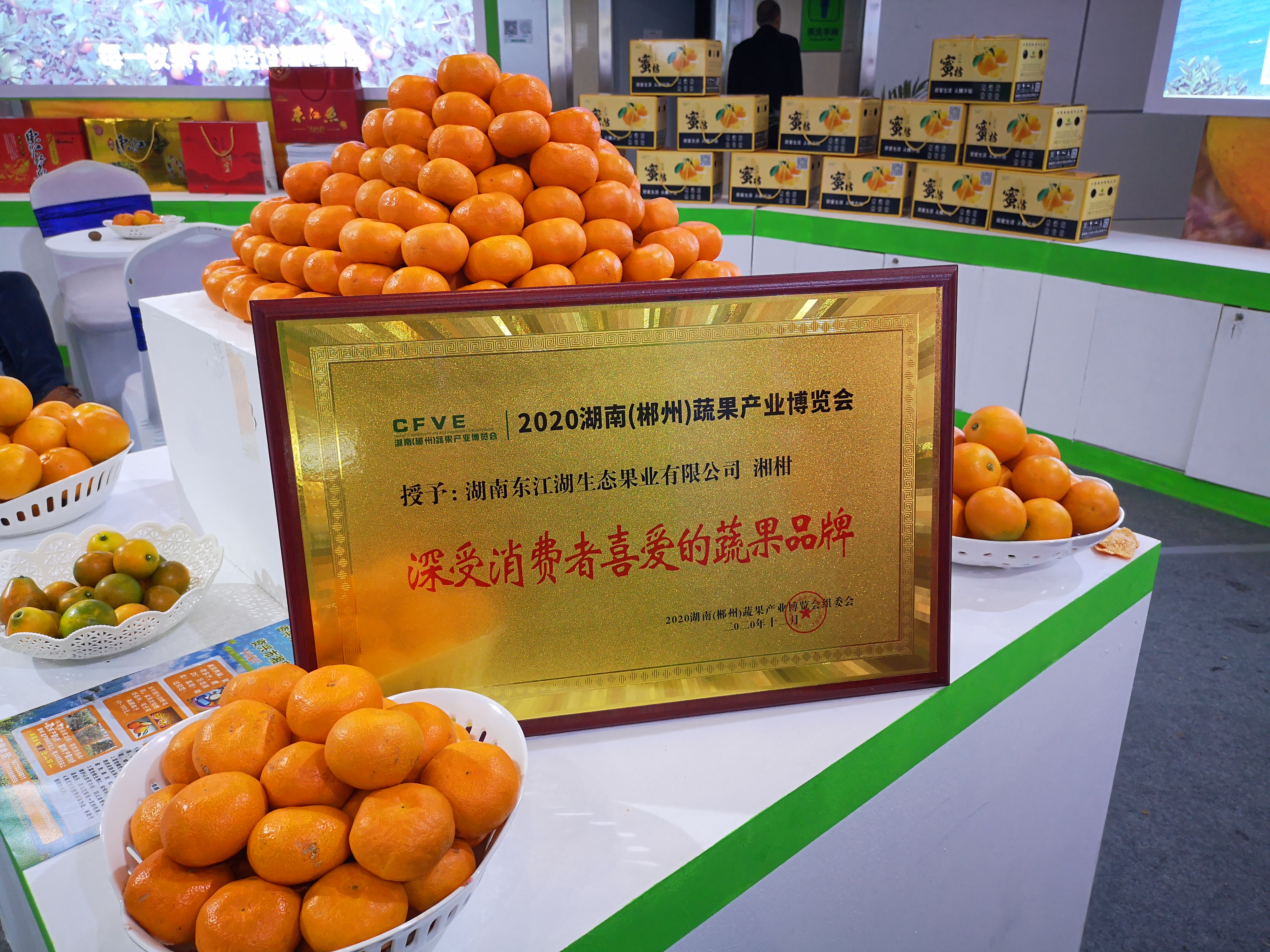 东江湖蜜橘  东江湖蜜桔