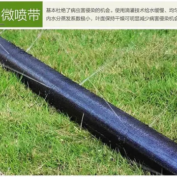 济南 微喷带喷灌带PE多孔软管雾化喷水带 草坪蔬菜喷灌带