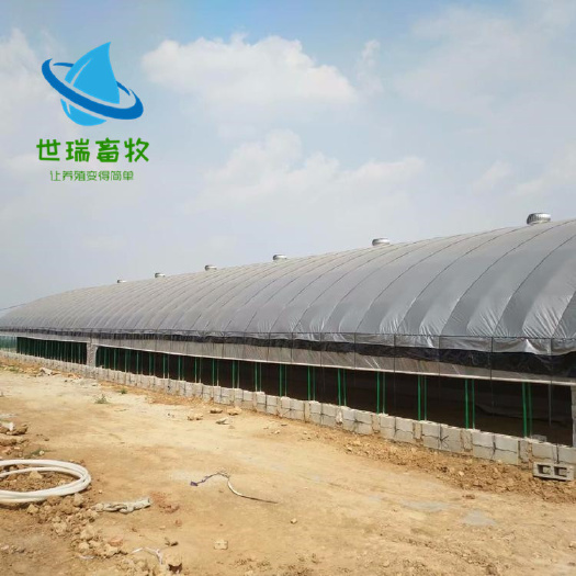 宁津县养殖大棚 养猪棚搭建成本养猪利润成本