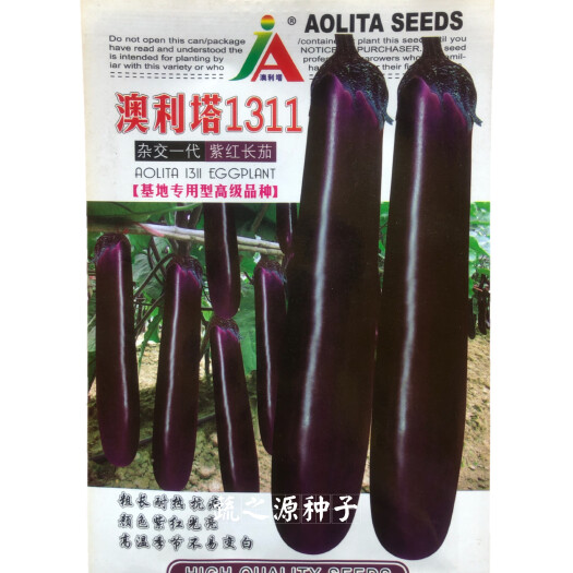 茄子种子澳利塔1311杂交一代紫红长茄1000粒一亩基地种
