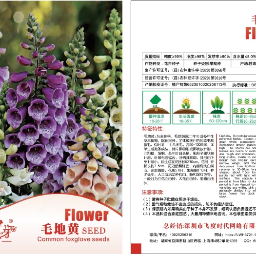 毛地黄种子 洋地黄 指顶花 金钟花 心脏草 毒乐草 吊钟花