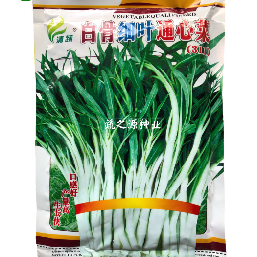 英德市白骨细叶柳叶白梗空心菜种子311通菜种子多次收割春秋种植