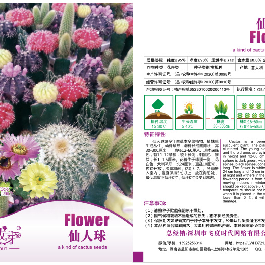 仙人掌苗 仙人球种子 草球 长盛球 仙人掌 短毛丸 珍珠戟 旺盛球12