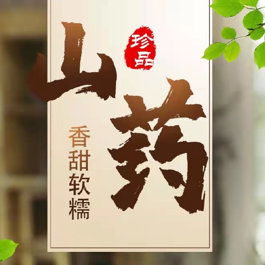 蕲春县正宗桐梓佛手山药现挖现卖味道鲜美