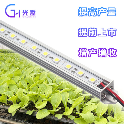 东营芽苗菜生长灯 蘑菇菌类虫草补光灯 无土栽培水培全光谱补光方案