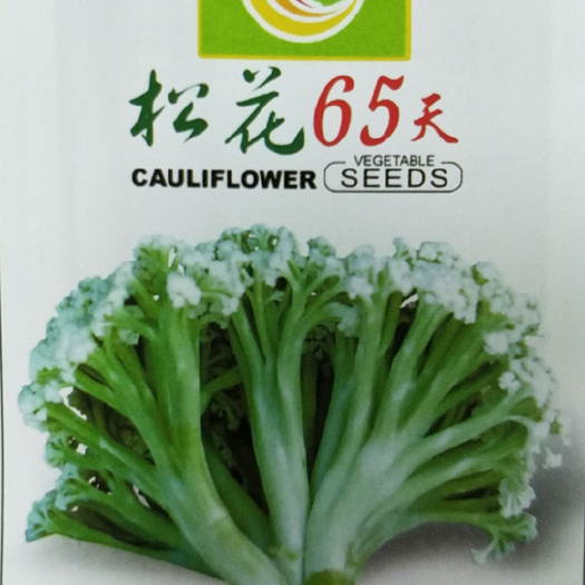 益阳金花菜种子 松花65天松花菜种子 菜花种子 花椰菜种籽 椰菜花西兰花 1