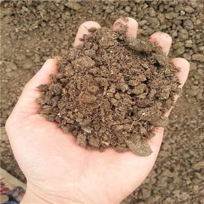 天津发酵干牛粪绿化牛粪晒干牛粪大量干牛粪现货出售牛粪干净