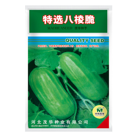 青县 中科茂华 瓜果蔬菜种子特选八棱脆菜瓜种子无棱绿皮菜瓜