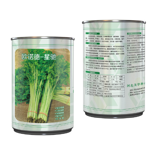 青县 中科茂华 蔬菜西芹小香芹种子 欧诺德星驰生长快速颜色淡黄亮