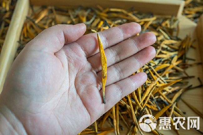 滇红工夫  滇红茶大金针125g罐装工厂直销贴牌定制云南古树红茶黄金芽